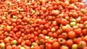 Videos : Uttarakhand farmers look for tomato buyers