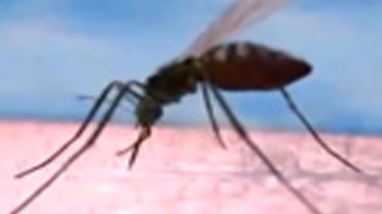 सियासत नहीं, राहत चाहिए सियासत नहीं, राहत चाहिए