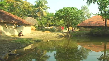 India Matters: Saving fish from drowning India Matters: Saving fish from drowning