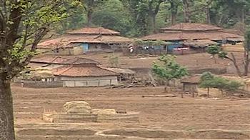 Creating a safe space for tigers