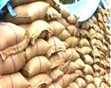 Video : Govt talks tough on food grain wastage