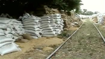 खुले में सड़ रहा है गेहूं