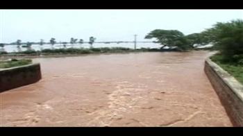 मनसा में भारी तबाही