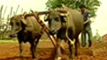 गुजरात का खूबसूरत हिल स्टेशन डांग