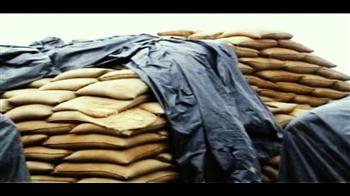 हजारों टन गेहूं हुआ बर्बाद