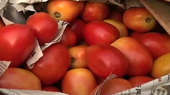 मंहगाई पर मंत्री समूह की बैठक