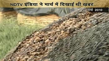 पंजाब में सड़ रहा है लाखों टन अनाज