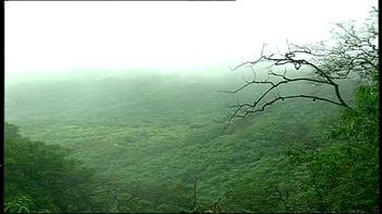 Tracking the monsoon: Rain-soaked in Amboli