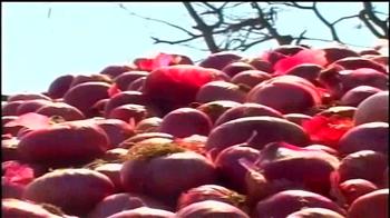 Onion at Rs 60-70/kg; govt suspends exports