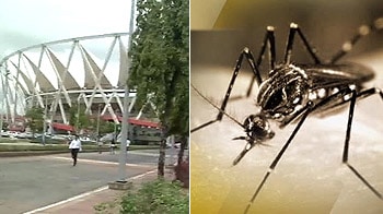 Video : Dengue shadow over Commonwealth Games