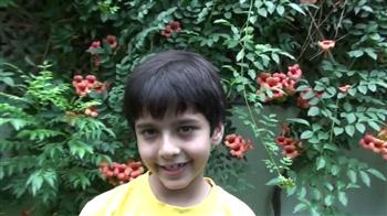 Young fan wants to see Sachin's 100th ton