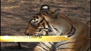 Save the Tiger: Be a tourist conservationist