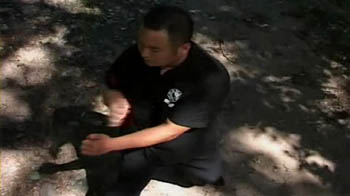 This new martial art is becoming popular