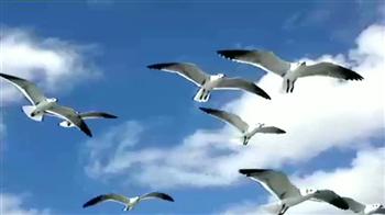 एयरपोर्ट : ये टक्कर कहीं भारी न पड़े