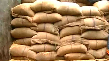 पंजाब में हजारों टन धन बर्बाद