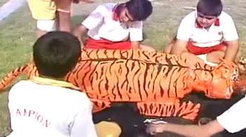 A tiger made out of paper and plastic bottles