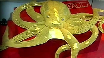 Video : मुंबई में दिखे सोने से बने 'पॉल बाबा'