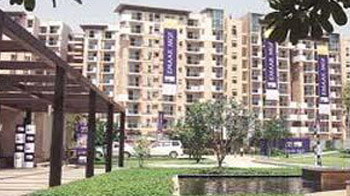 CWG: EMAAR-MGF at centre of storm