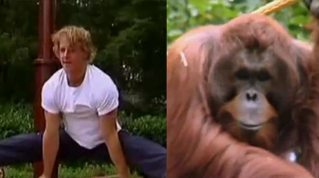 Olympian gymnast to coach orangutans