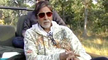 Video : Big B joins hands with NDTV to Save our Tigers