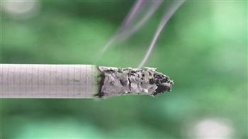 Anti-tobacco day: Focus on women