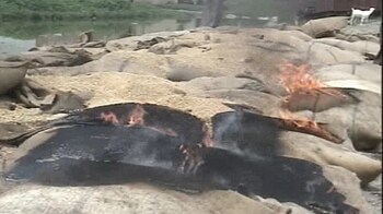 Video : In Madhya Pradesh, bonfire of rotting grains