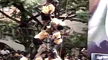 Video : Children at the very top of Dahi Handi pyramids