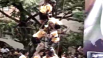 Children at the very top of Dahi Handi pyramids