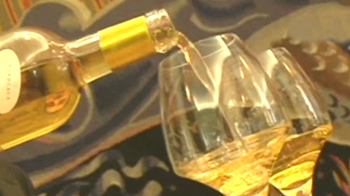 Wine Country Citizen - Bordeaux