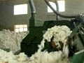 Video : Garments industry strike work due to high cotton yarn prices
