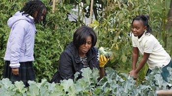 Video : Michelle Obama harvests veggies