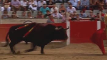 Video : End of an era: Spanish region bans bullfighting