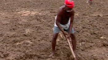 Another crop failure in Tamil Nadu; farmers desperate