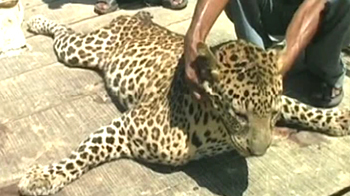 Tragic year for wildlife conservation