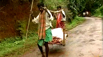 हैजा की महामारी