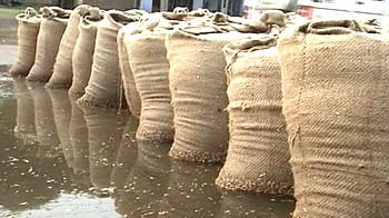 अनाज की बर्बादी जारी...