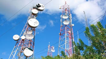 Penalize and not cancel: TRAI on 2G licenses