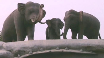 India Matters: Man-elephant conflict