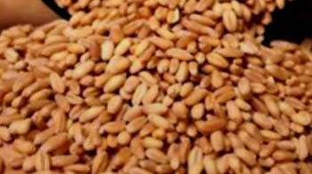 यूपी खाद्यान्न घोटाले पर कोर्ट सख्त