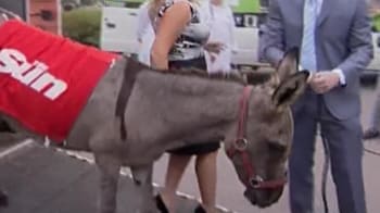 Video : Donkey forced to parasail arrives in Moscow