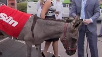 Donkey forced to parasail arrives in Moscow