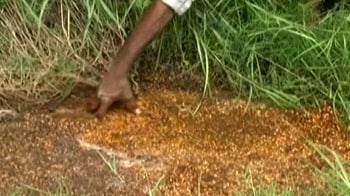 Video : Rotting food: 3 FCI officials suspended