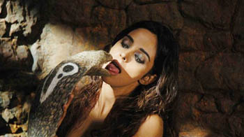 मल्लिका सहरावत की नई फिल्म 'हिस्स' मल्लिका सहरावत की नई फिल्म 'हिस्स'