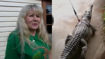 Video : Woman divorces husband for crocodile