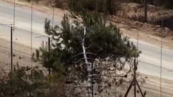Video : 4 dead in Lebanon-Israel dispute over a tree