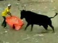Video : Colombia bull fight leaves nearly 48 injured