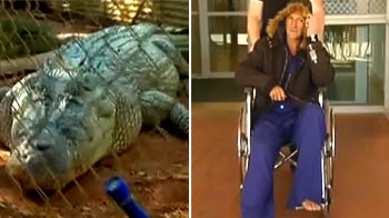 Oz man explains why he sat on Fatso the crocodile