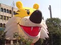 Videos : गुब्बारे से बनाया नौ लाख का शेरा