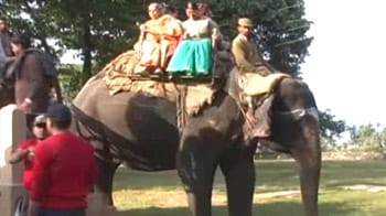 Video : Tourism to be controlled in Corbett?