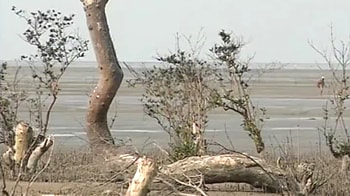 Video : Adani port: Damaging the coast